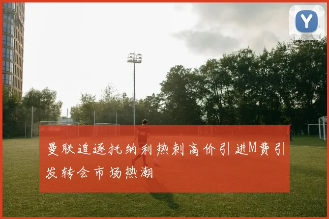曼联追逐托纳利热刺高价引进M费引发转会市场热潮