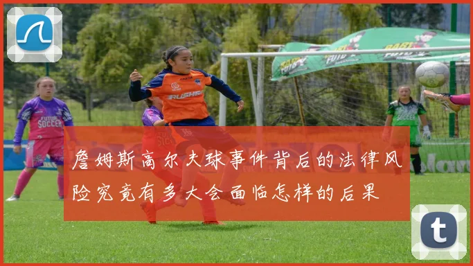 詹姆斯高尔夫球事件背后的法律风险究竟有多大会面临怎样的后果